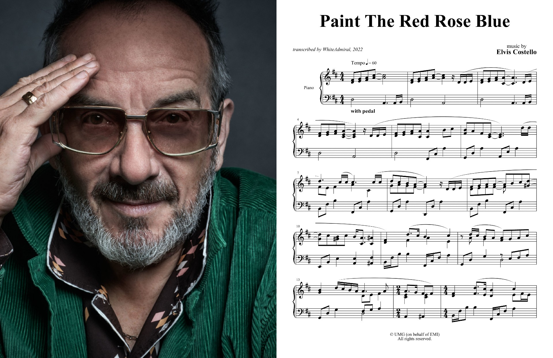 Paint The Red Rose Blue - Elvis Costello.jpg